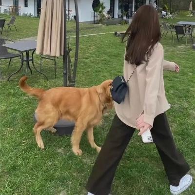 星光照亮死亡